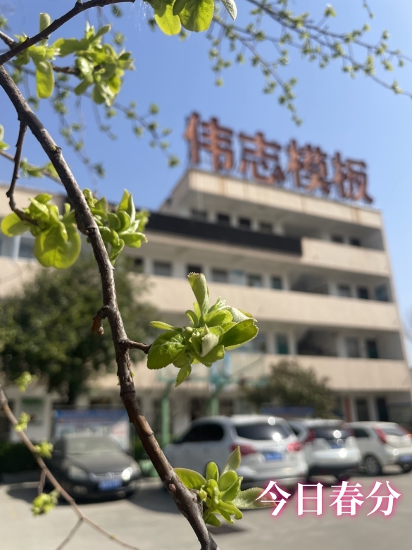 春分 春分